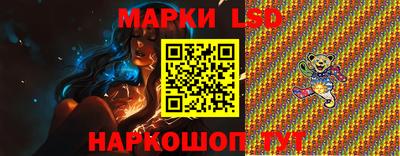 прущие грибы Будённовск