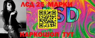 прущие грибы Будённовск
