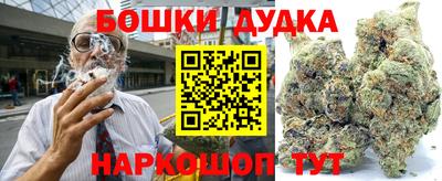 прущие грибы Будённовск