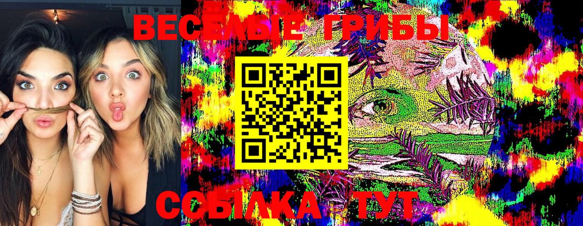 Орск  Псилоцибиновые грибы MAGIC MUSHROOMS  купить наркотики цена  Псилоцибиновые грибы MAGIC MUSHROOMS  Вход с VPN 