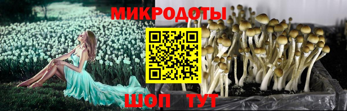 Псилоцибиновые грибы мухоморы Орск